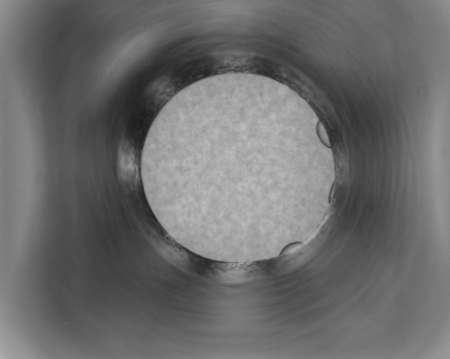 X0000112180191200909181441