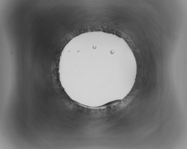 X0000112180192200909181441