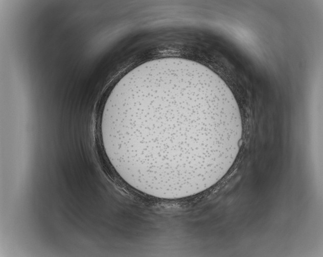X0000112180194200909181440