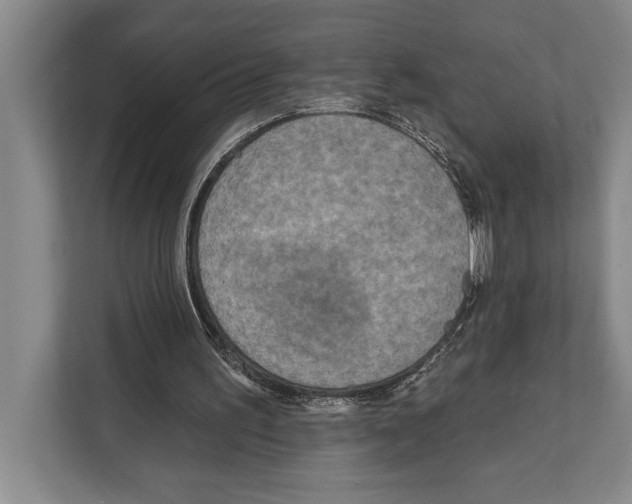 X0000112180195200909181440