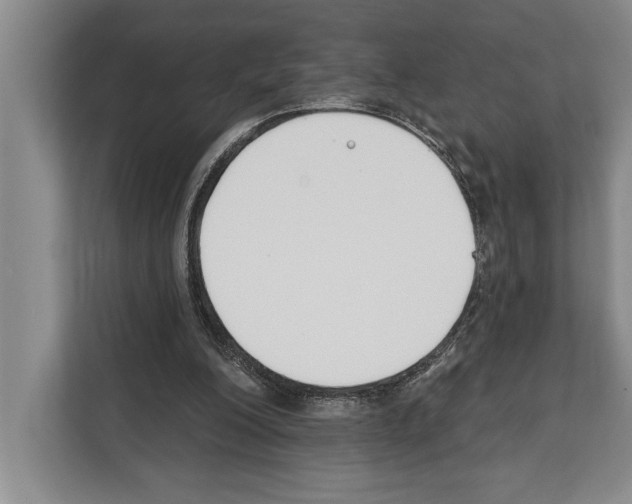 X0000112180200200909181440