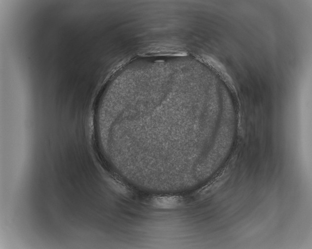 X0000112180202200909181440