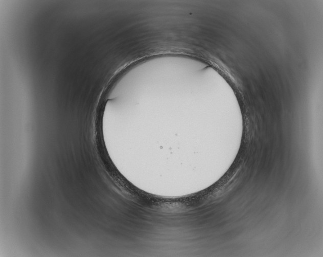 X0000112180203200909181440