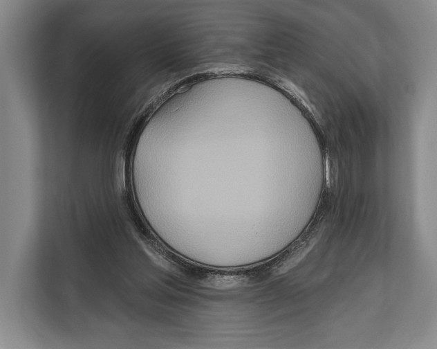 X0000112180205200909181440