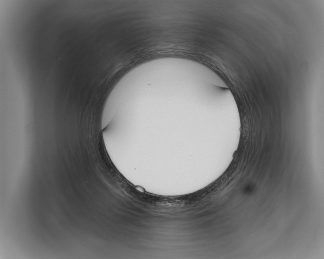 X0000112180215200909181440