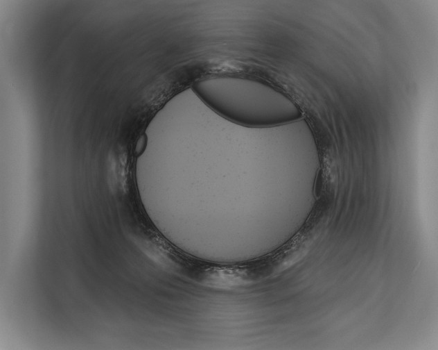 X0000112180223200909181440