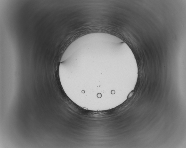 X0000112180229200909181440