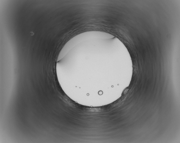 X0000112180233200909181440