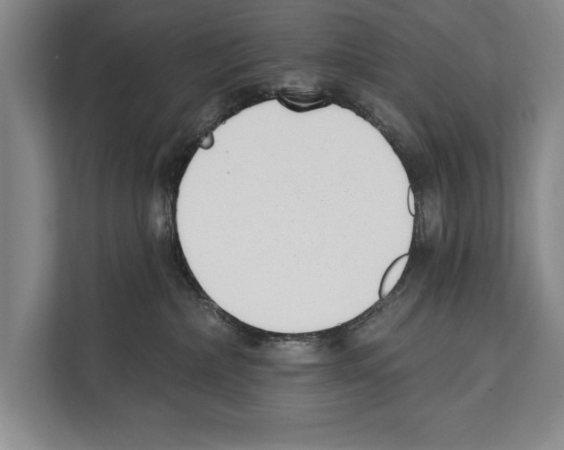 X0000112180236200909181440