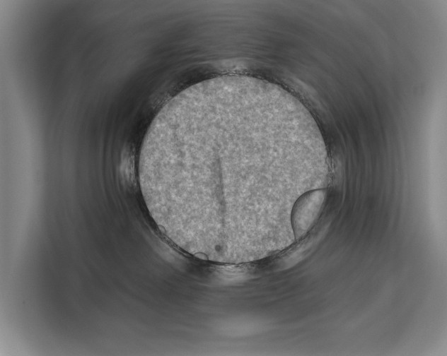 X0000112180238200909181440