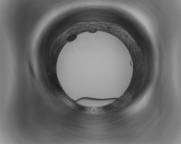 X0000112180239200909181440