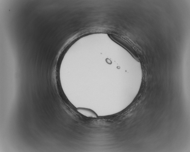 X0000112180244200909181439