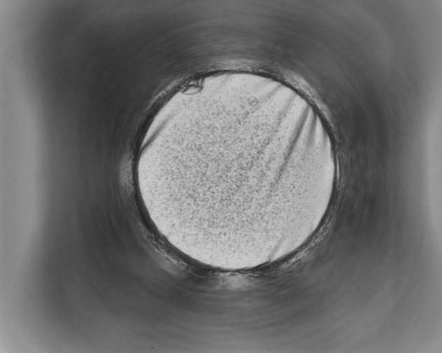 X0000112180249200909181439