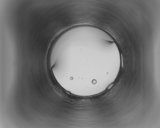 X0000112180252200909181439