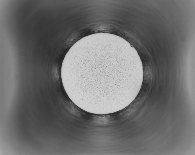 X0000112180282200909181440
