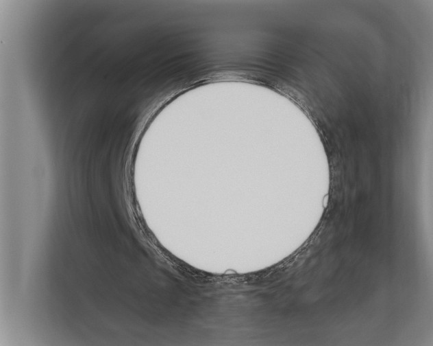 X0000112180289200909181439