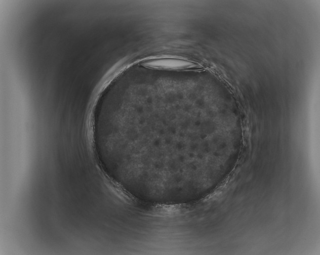 X0000112180295200909181439