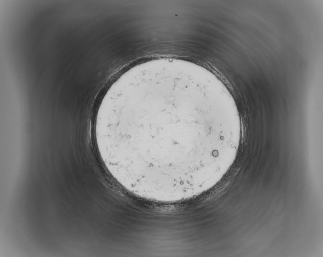 X0000112180301200909181439