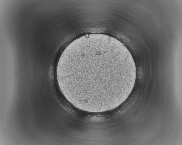 X0000112180303200909181439