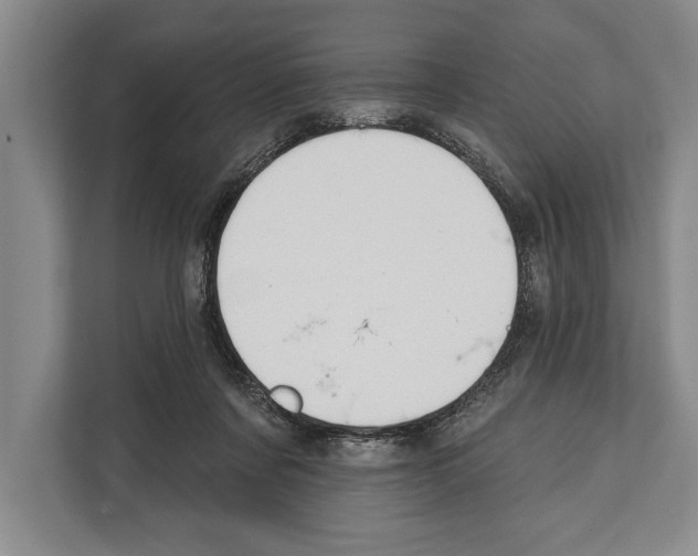X0000112180311200909181439