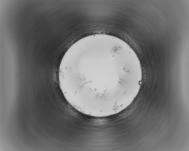 X0000112180313200909181439