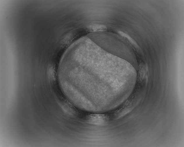 X0000112180316200909181439