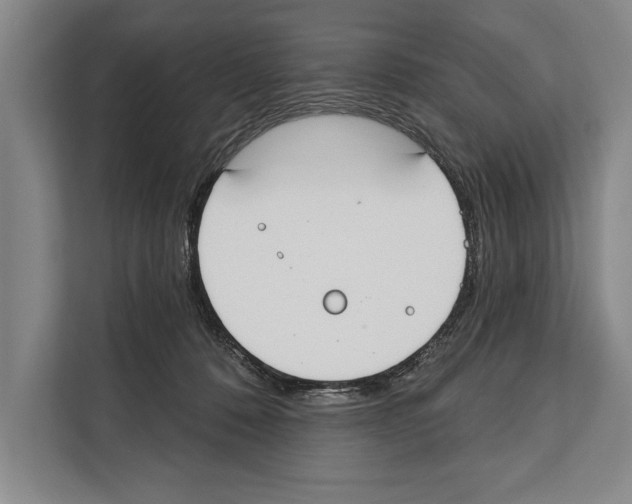 X0000112180320200909181439