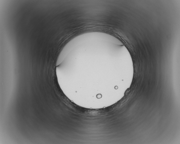 X0000112180325200909181439