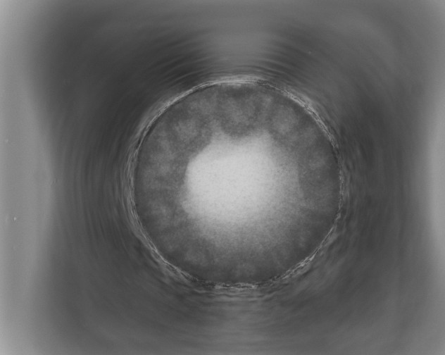 X0000112180337200909181438