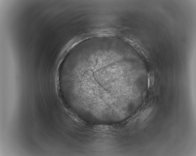 X0000112180339200909181438