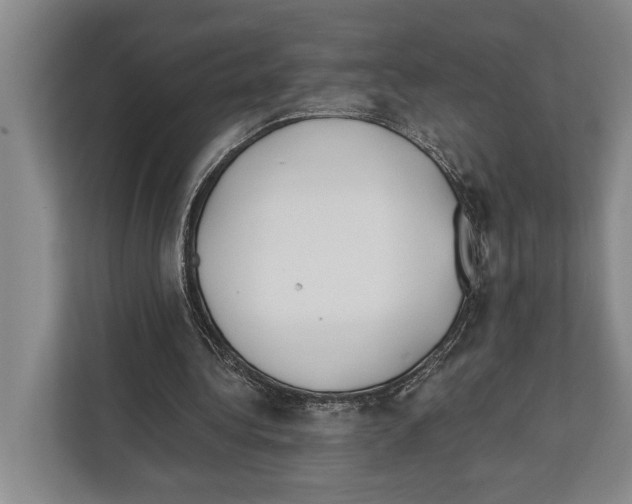 X0000112180340200909181438