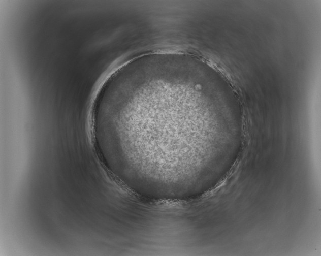 X0000112180343200909181438