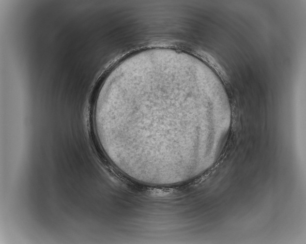 X0000112180346200909181438