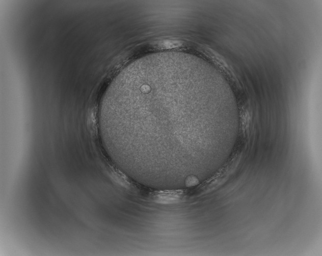 X0000112180373200909181438