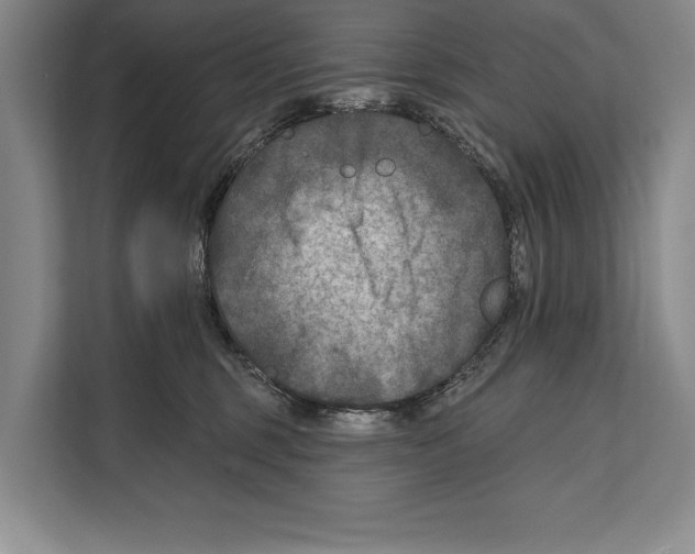 X0000112180375200909181438