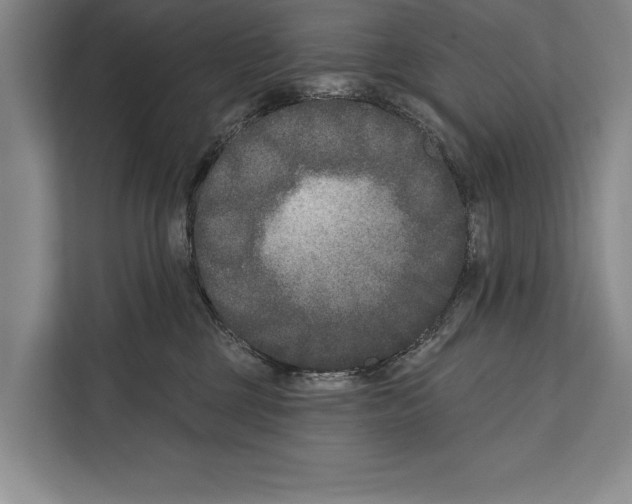 X0000112180377200909181438