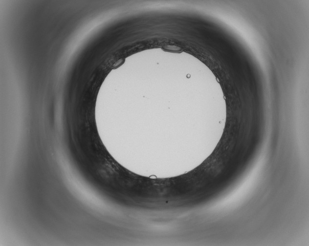X0000112180382200909181438