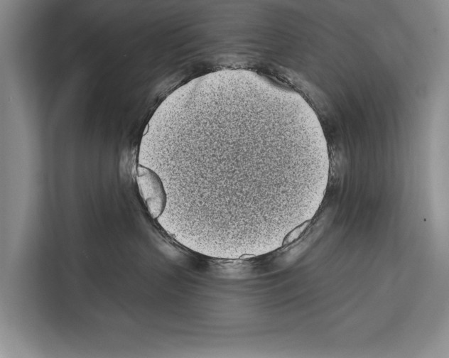 X0000112180383200909181438