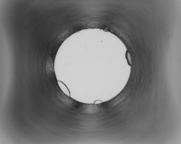 X0000112180384200909181438