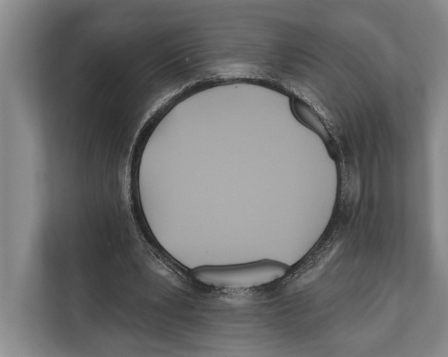 X0000112180391200909181438
