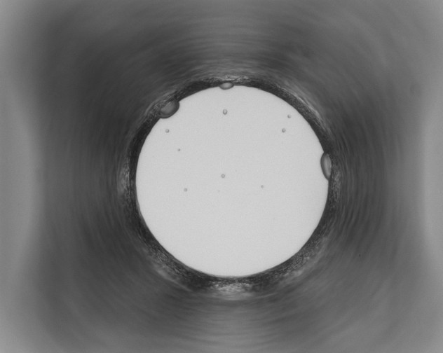X0000112180407200909181437