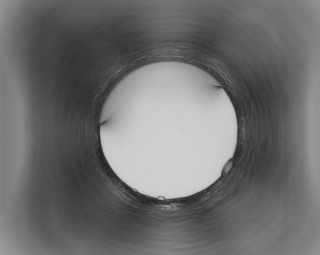 X0000112180411200909181437