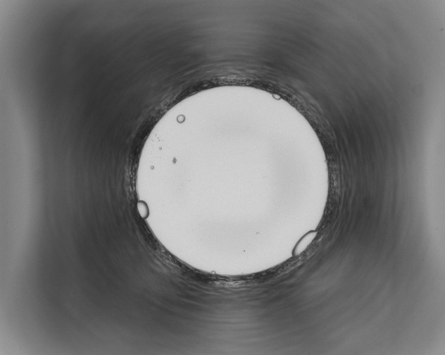 X0000112180419200909181437