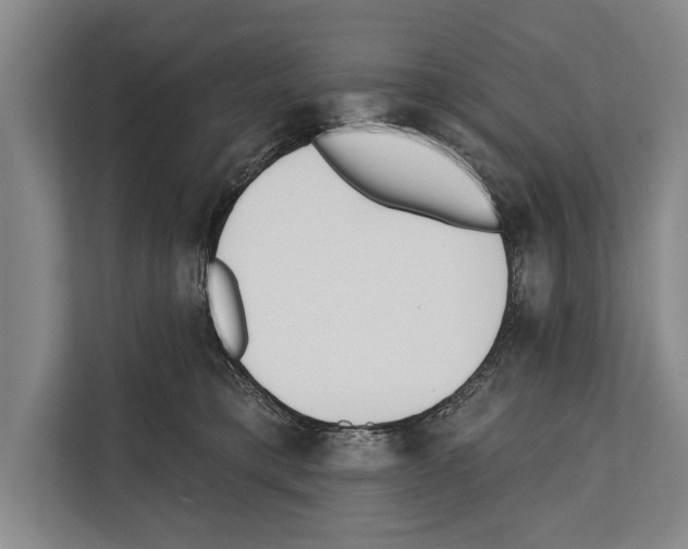 X0000112180421200909181437