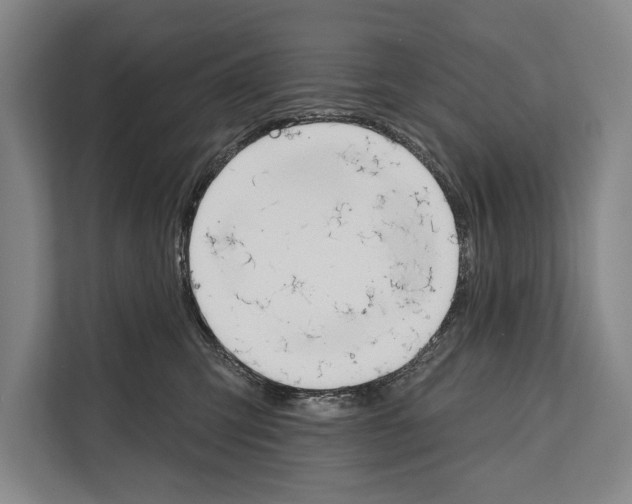 X0000112180423200909181437