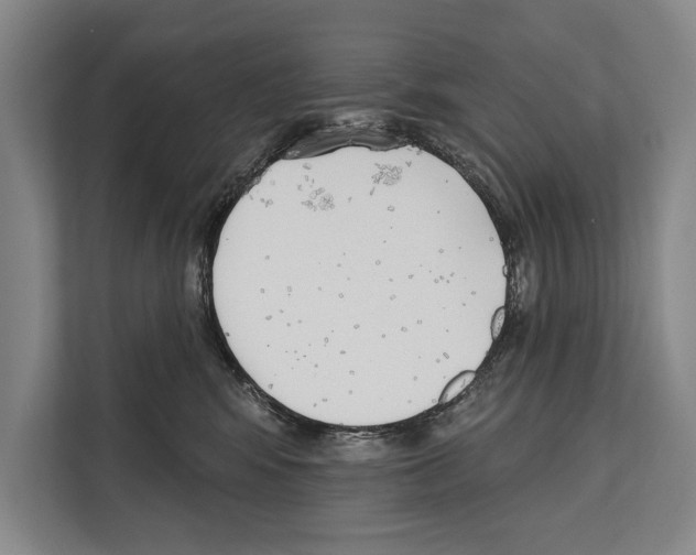 X0000112180424200909181437
