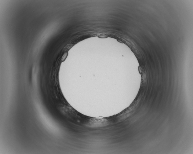 X0000112180429200909181437