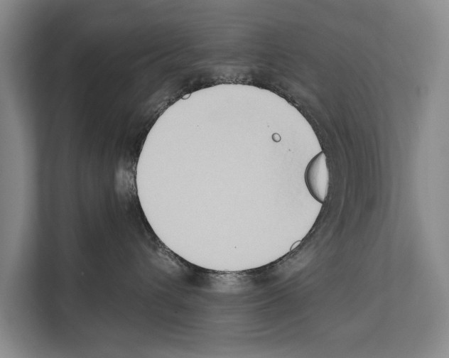 X0000112180432200909181437