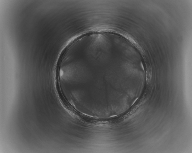 X0000112180438200909181437