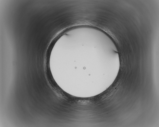 X0000112180440200909181437